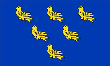 Sussex Flag - RED or BLUE?