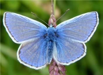 Enter the Nature Photo competition: 18+ and 4-17 age category